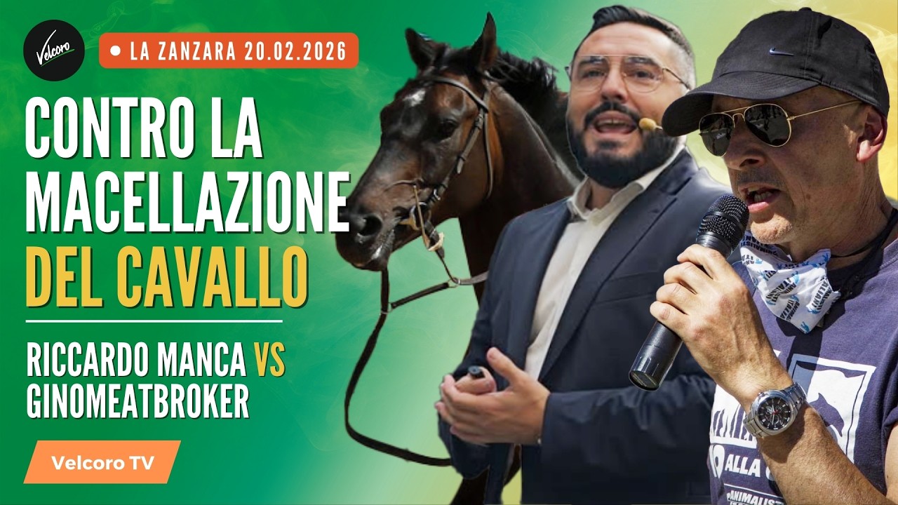 Ginomeatbroker