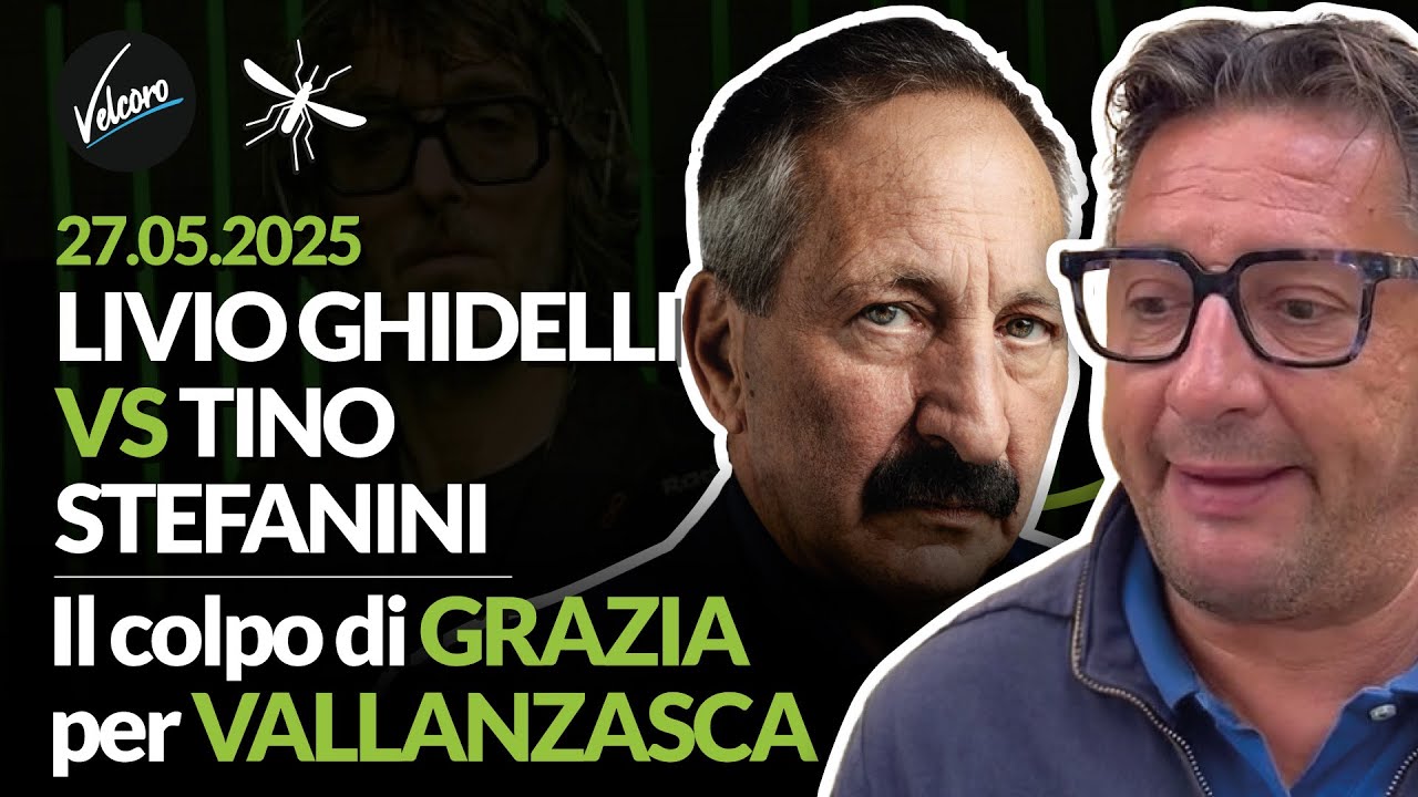 TIno Stefanini