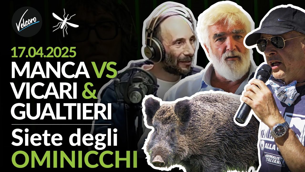 Andrea Busetto Vicari