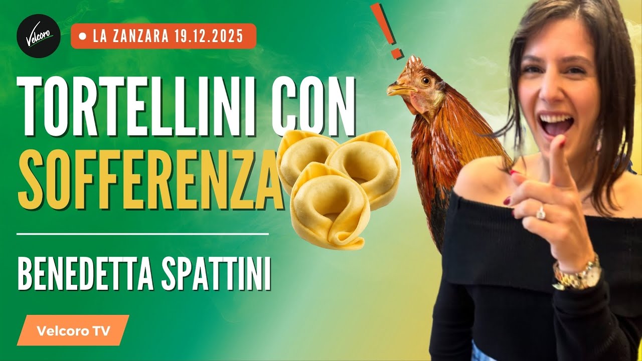 Benedetta Spattini