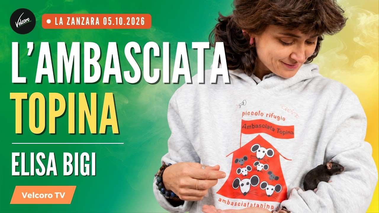 Elisa Bigi